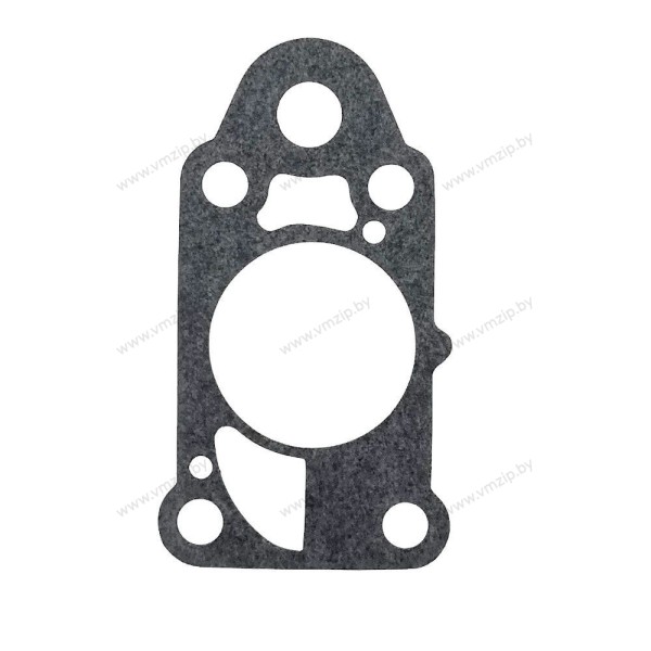 Прокладка корпуса помпы Tohatsu MFS2-MFS3.5 3F0-65018-0