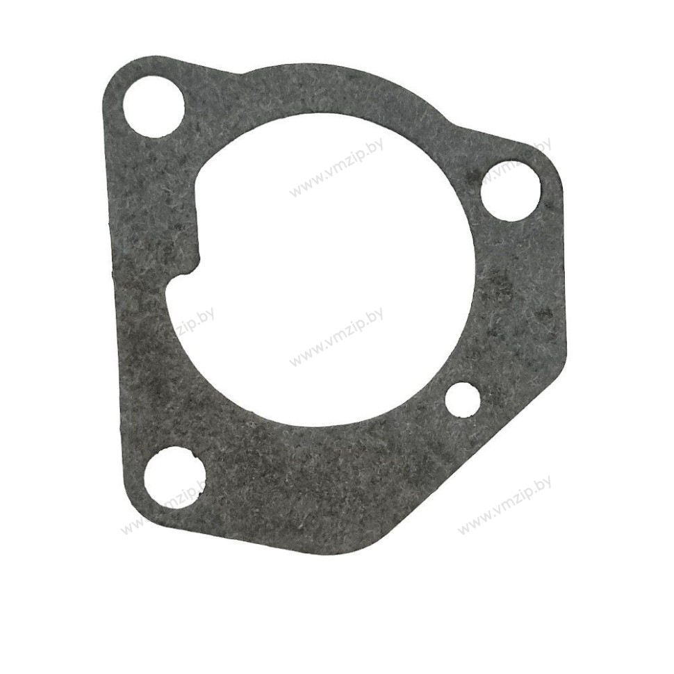 Прокладка пластины помпы охлаждения Suzuki DT8-9.9 17472-92D10