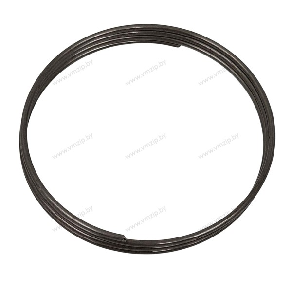 Пружина храповика Mercury, Mercruiser 24-30893