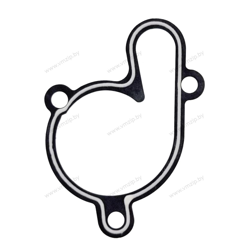 Прокладка крышки помпы YZ85 4BA-12428-00