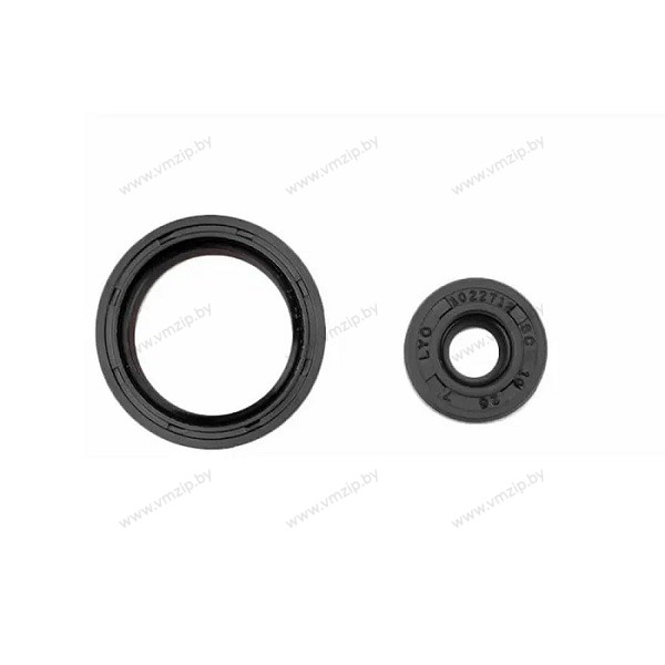 Комплект сальников масляного насоса Yamaha BR250 09-711027A2