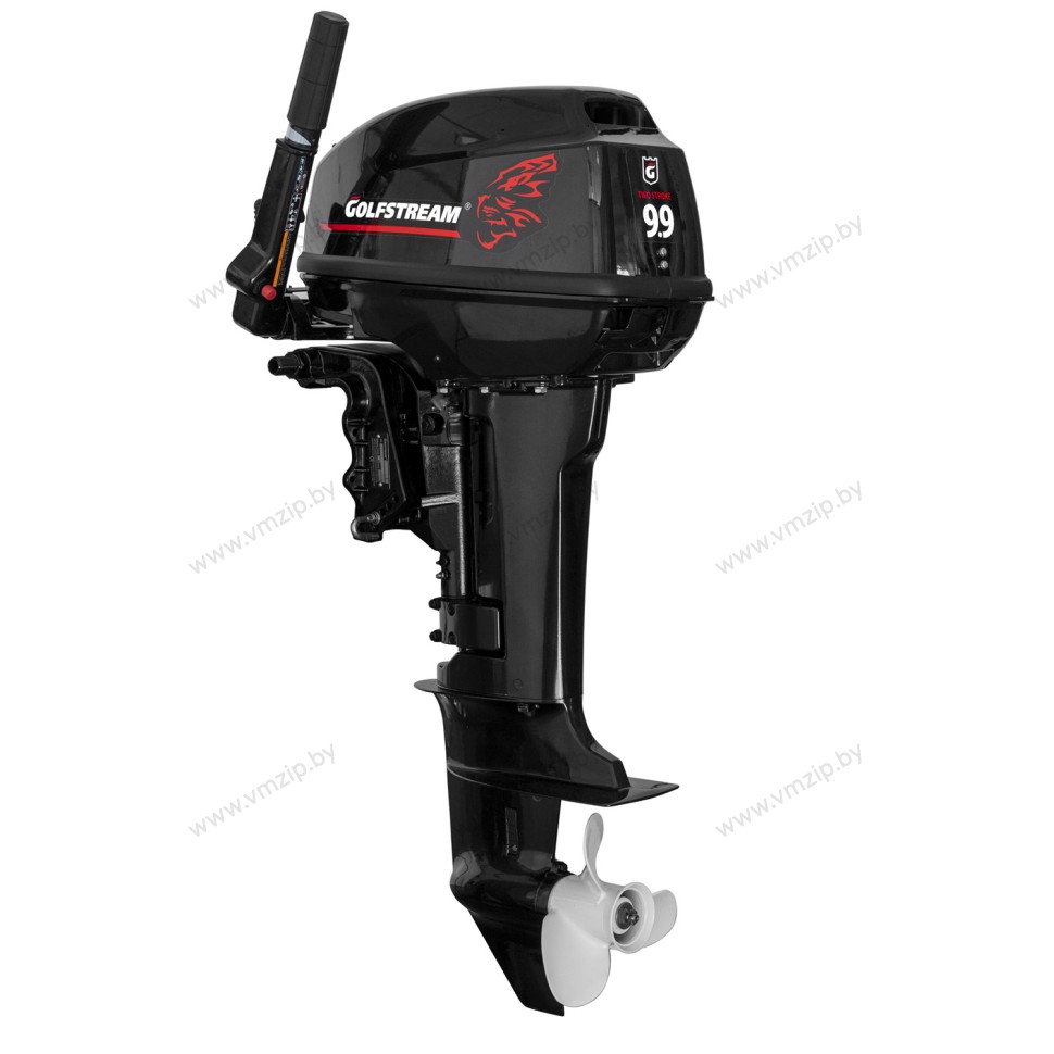 Мотор 2 такт, ручной S GOLFSTREAM (PARSUN) T9.9BMS