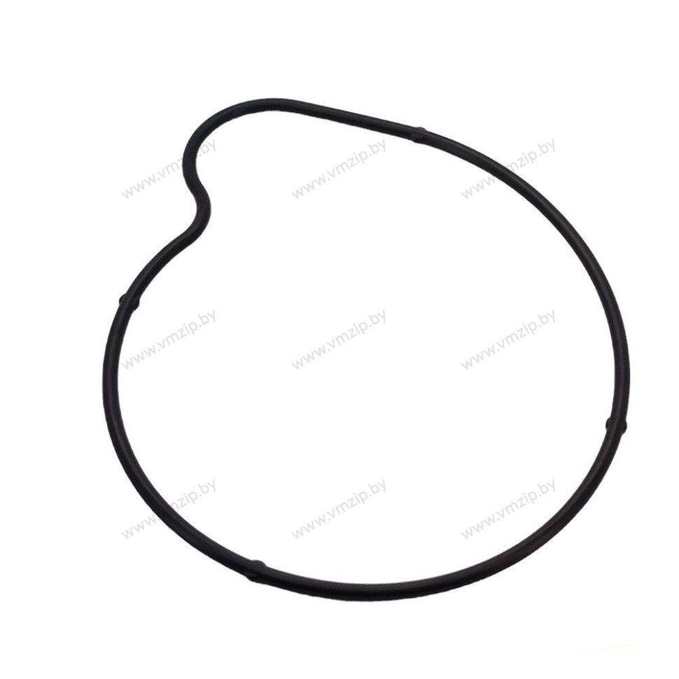 Прокладка крышки корпуса помпы 1WG-12439-00