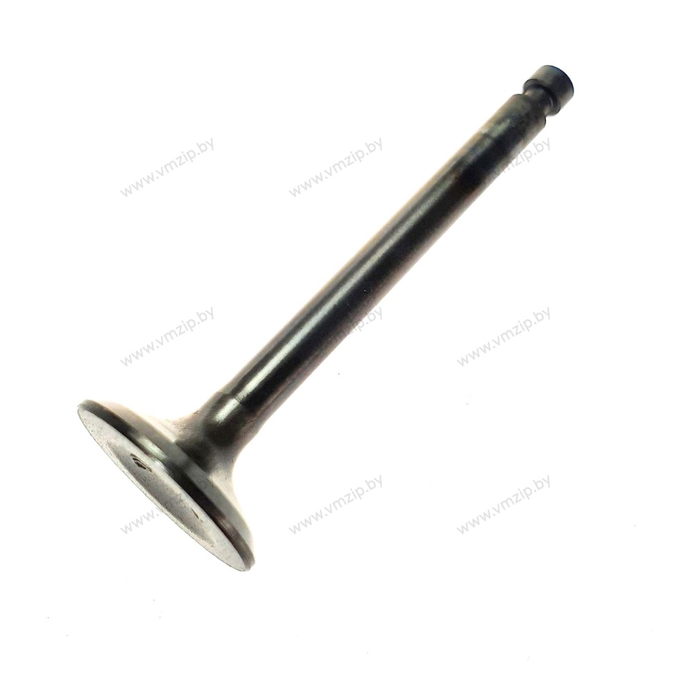 Клапан выпуска F4-F5 F4-04080006A