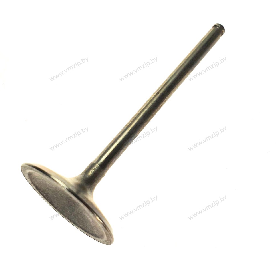 Клапан впускной F150-F225 69J-12111-00