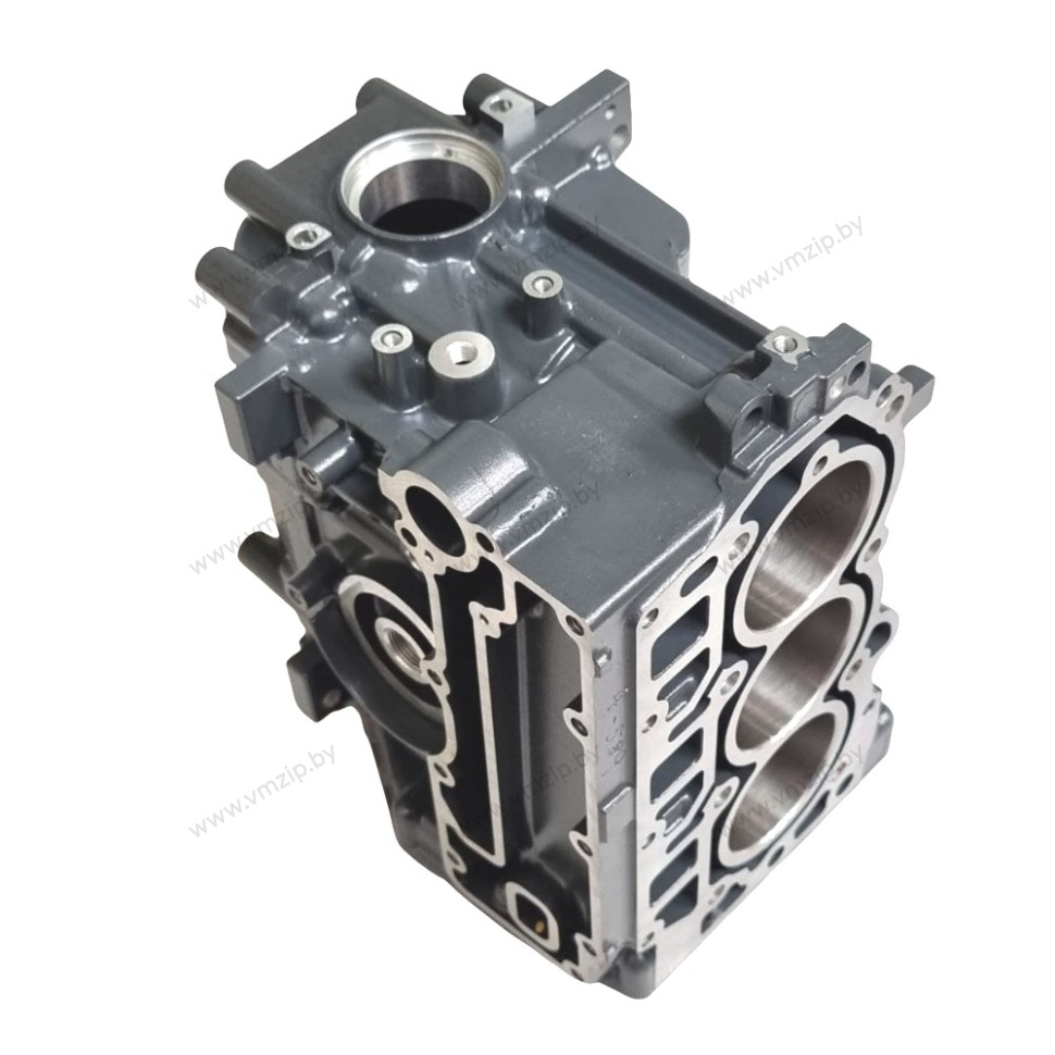 Блок цилиндров Yamaha F30B, F40F 6BG-15100-00
