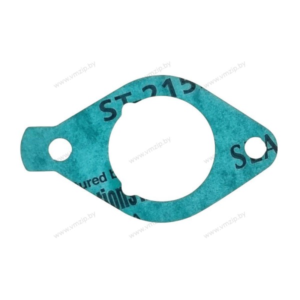Прокладка впуска F9.9A-F20A F20-05000008