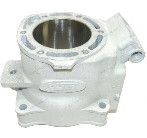 Цилиндр Yamaha 800/1200R 010-6029
