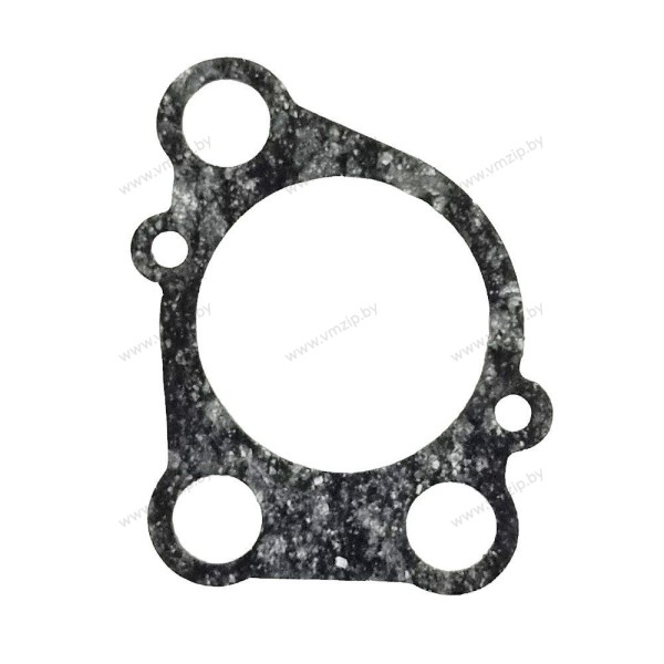 Прокладка корпуса помпы E8D 655-44315-A1