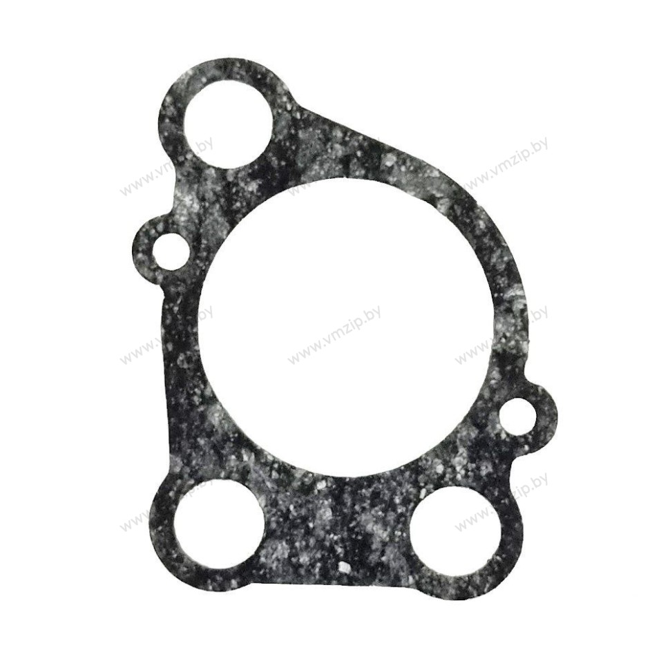 Прокладка корпуса помпы E8D 655-44315-A1