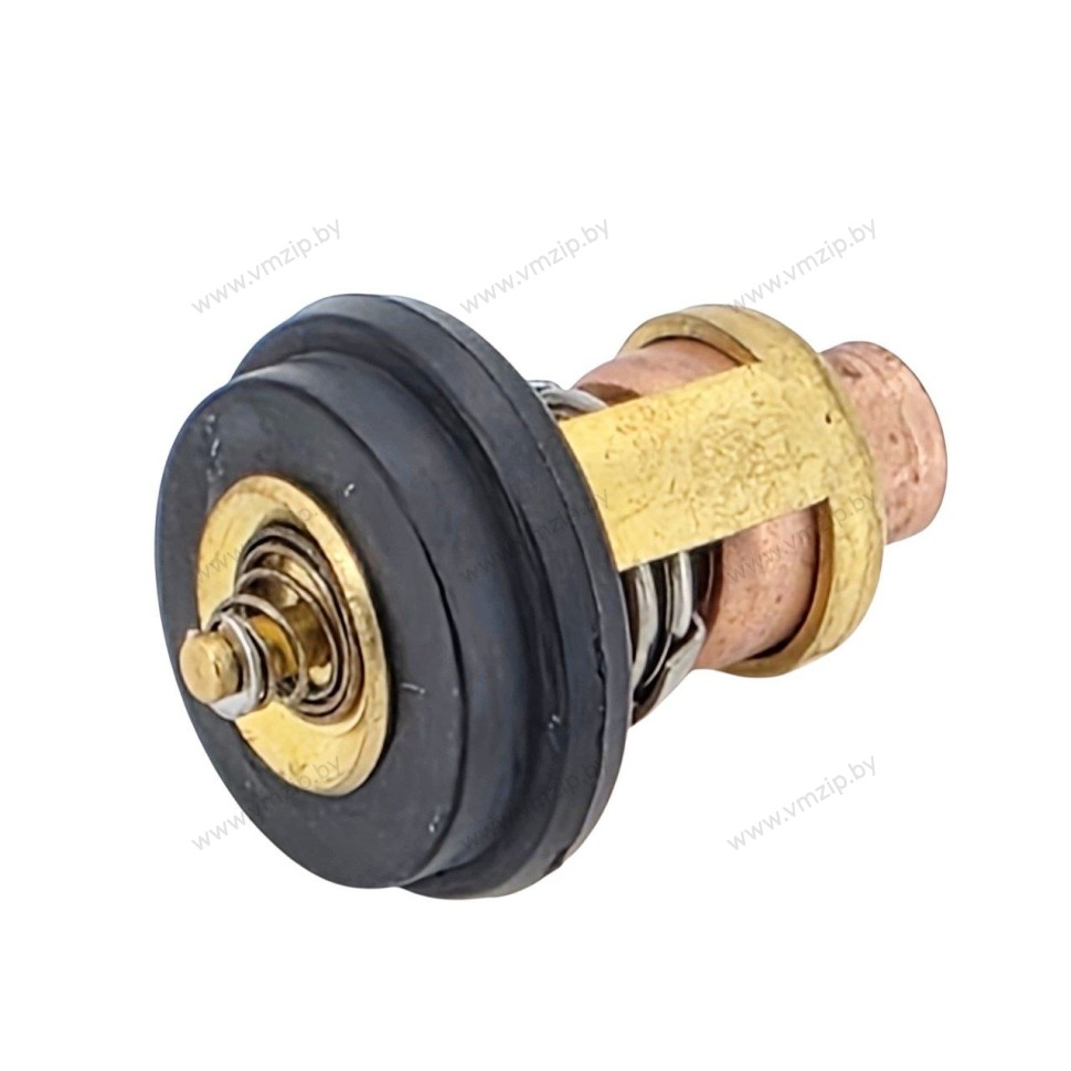 Термостат T9.9BM Pro T18-05000006