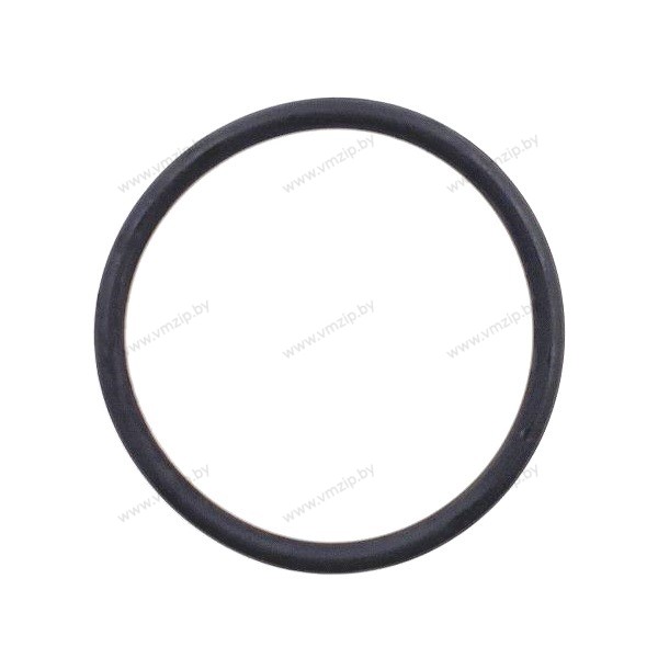 Кольцо уплотнительное F25-04050003