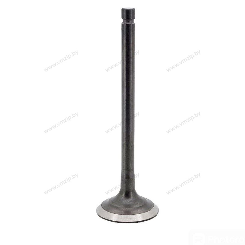 Клапан выпуска F25-F60 F25-05050002
