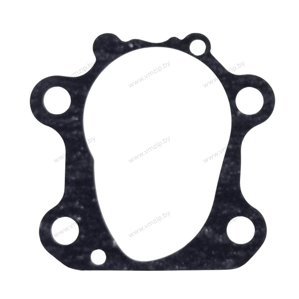 Прокладка корпуса помпы F70A 6CJ-44315-00