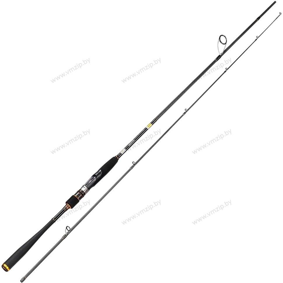 Удилище спиннинговое RYOBI IXORNE SEABASS S902M 10-40гр (RIS-S902M)