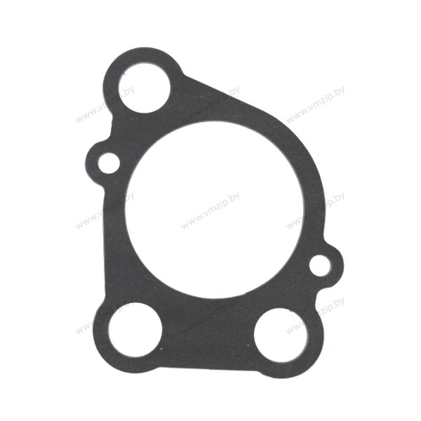 Прокладка корпуса помпы E8D 655-44315-A1