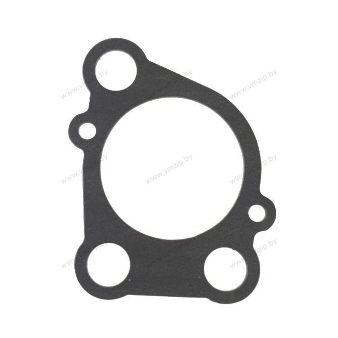 Прокладка корпуса помпы E8D 655-44315-A1