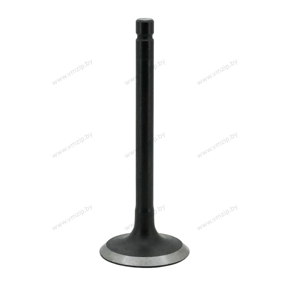 Клапан впускной F9.9B, F15B F15-07040001