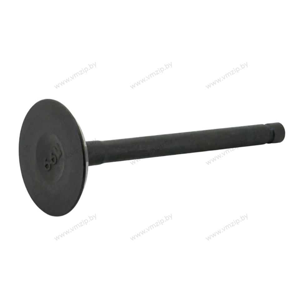 Клапан впускной F9.9B, F15B F15-07040001