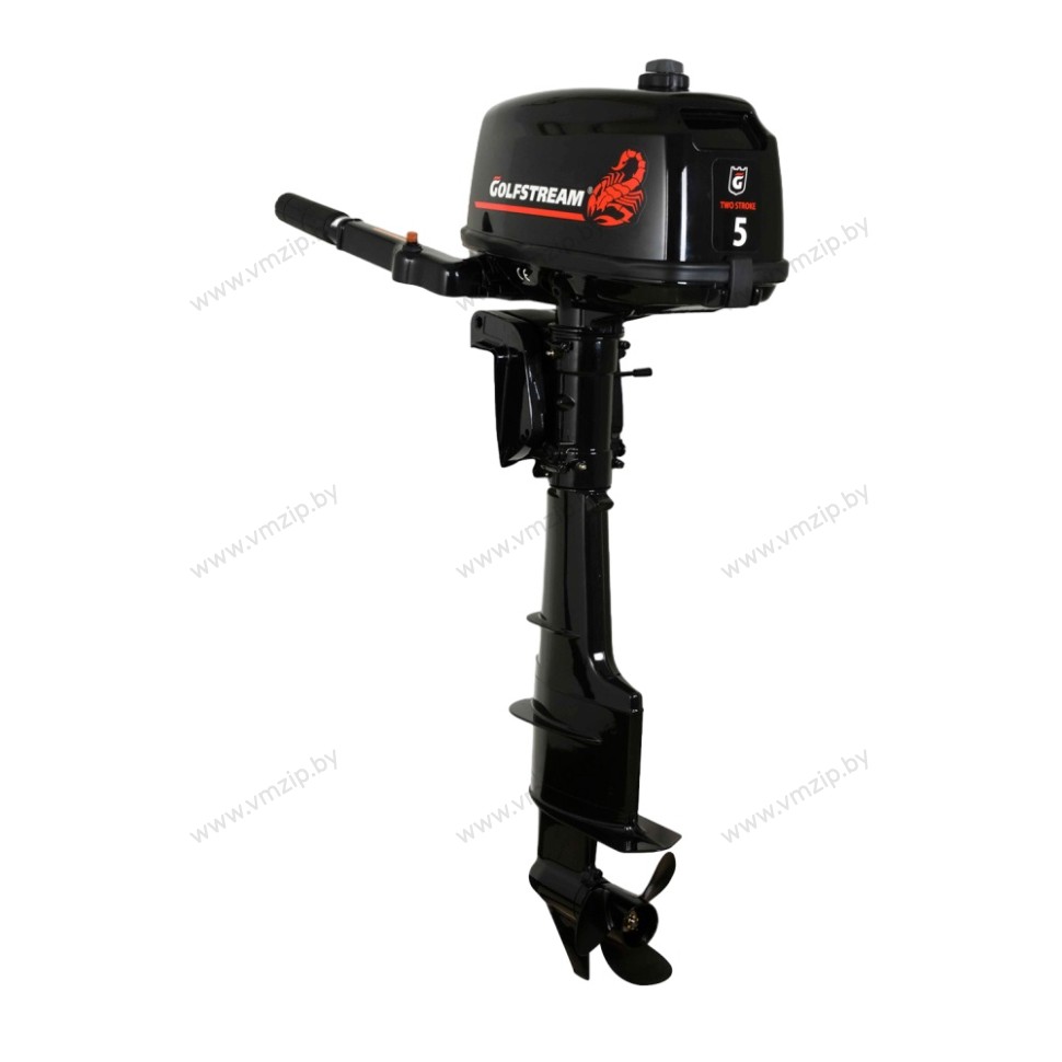 Мотор 2 такт, S, без подключения внешнего бака GOLFSTREAM (PARSUN) TC5BMS
