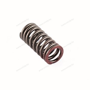 Пружина клапана выпуска Yamaha 010-033