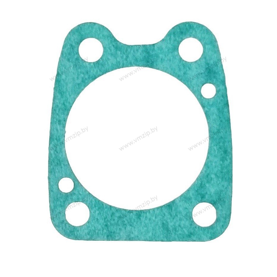 Прокладка корпуса помпы 2.5-5 F4-03000018