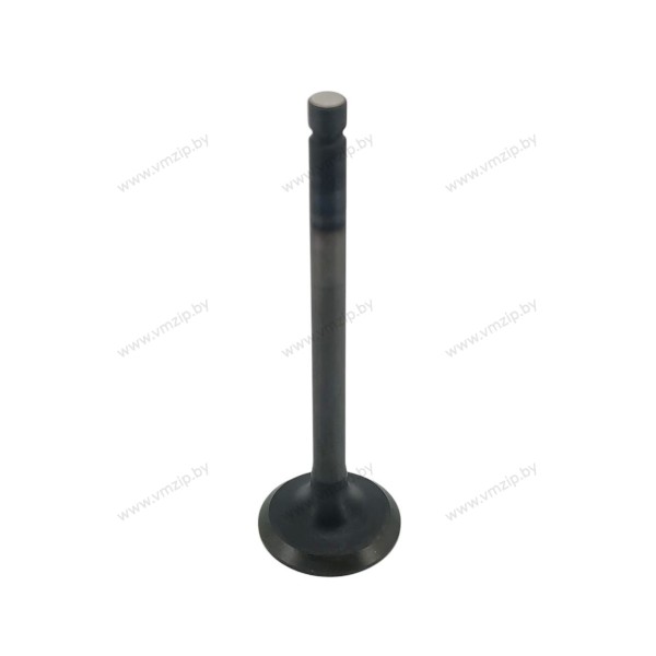 Клапан выпуска F9.9H, F15C, F20B 6AH-12121-10
