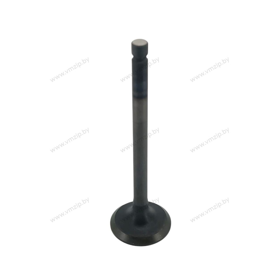 Клапан выпуска F9.9H, F15C, F20B 6AH-12121-10