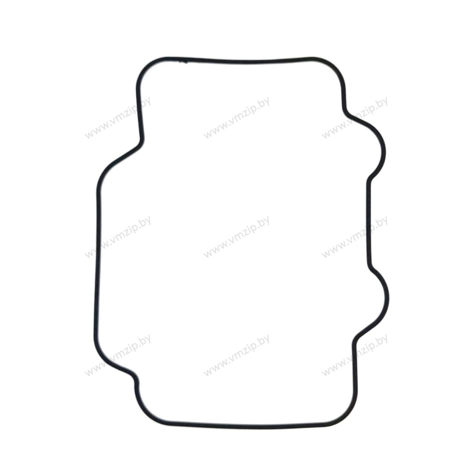 Прокладка крышки головки F9.9C-F15A/B 66M-11356-00