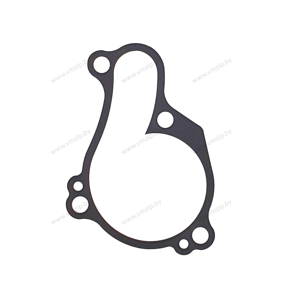 Прокладка корпуса помпы YZ, WR 33D-12427-00