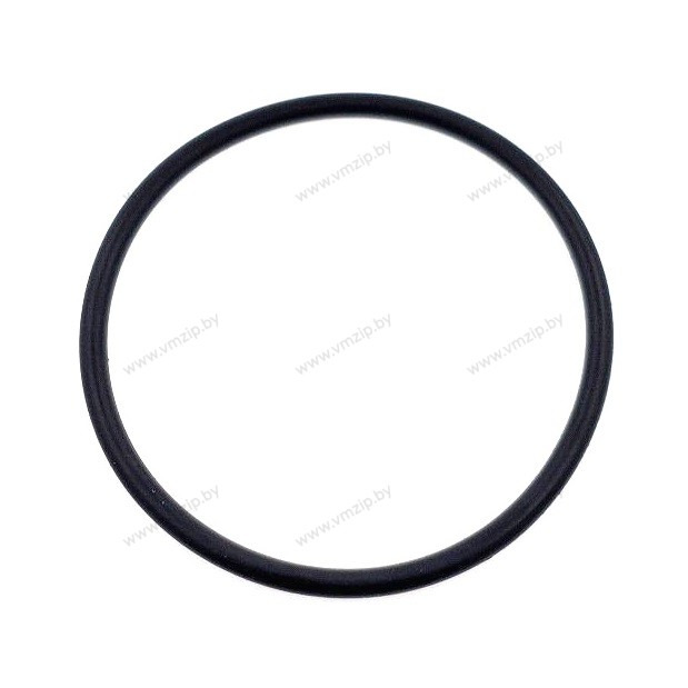 Кольцо уплотнительное 54.5 х 3.1 JB/T7757.2(01063189)
