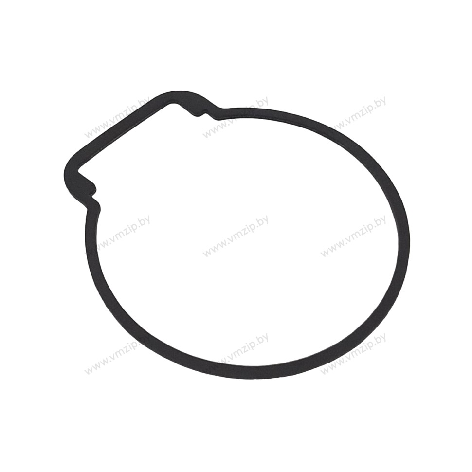 Прокладка поплавковой камеры 5D, E8D, 9.9D, 15D 677-14384-02
