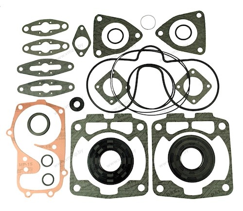 Прокладки, к-т полный, Polaris 500 09-711250