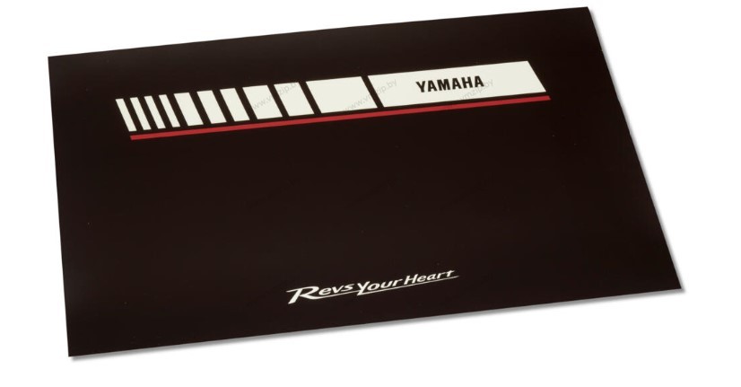 Защитная наклейка для ноутбука REVS 13'' N20-AE001-B0-13