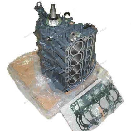 Блок цилиндров в сборе F80, F90, F100 99999-04187