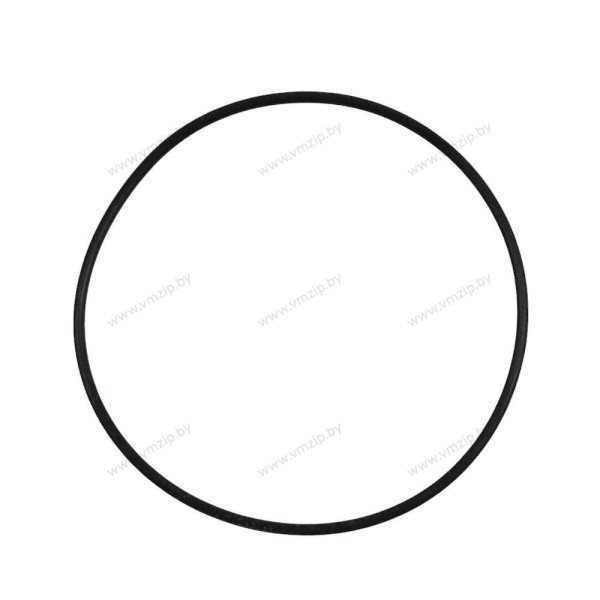 Кольцо уплотнительное 9.9-20 F15-06080003