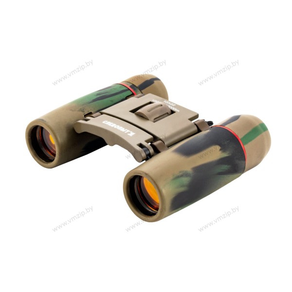 Бинокль СЛЕДОПЫТ 10х22 /PF-BT-02