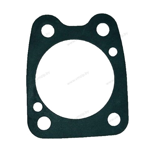 Прокладка корпуса помпы 4A, 5C 6E0-44315-A0