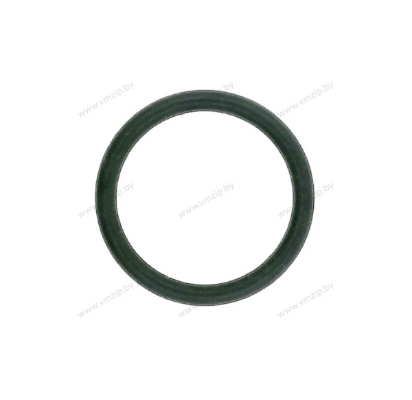 Кольцо уплотнительное JASO-F404-31-025