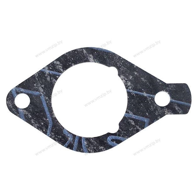 Прокладка впуска F15C, F20B 6AH-13646-00