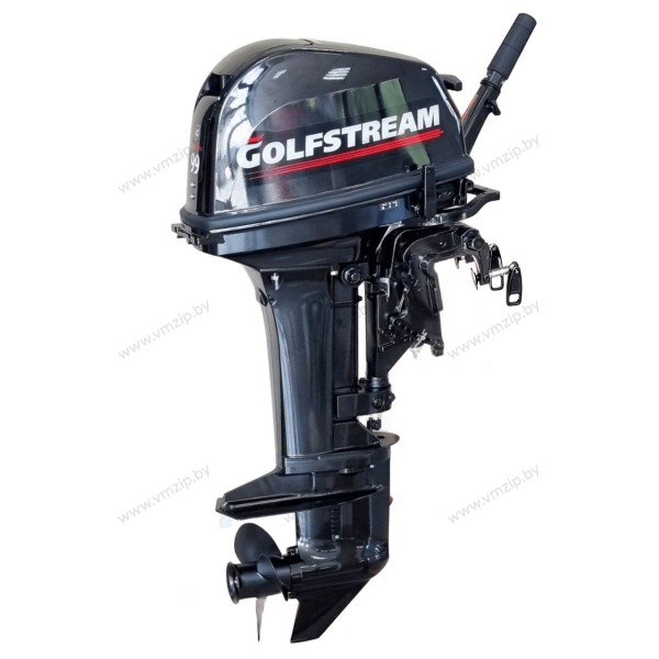 Мотор 2 такт, ручной S GOLFSTREAM (PARSUN) T9.9BMS PRO