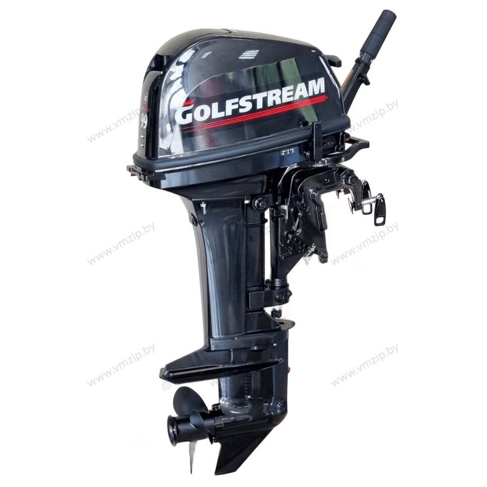Мотор 2 такт, ручной S GOLFSTREAM (PARSUN) T9.9BMS PRO