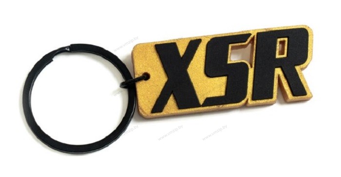 Брелок XSR N21-PK009-B2