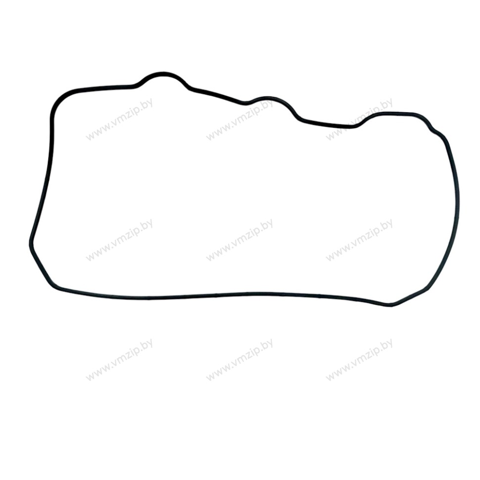 Прокладка крышки головки F40 F40-05000002