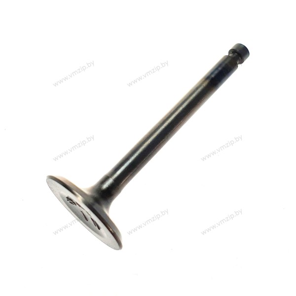 Клапан впуска F4-F5 F4-04080005A