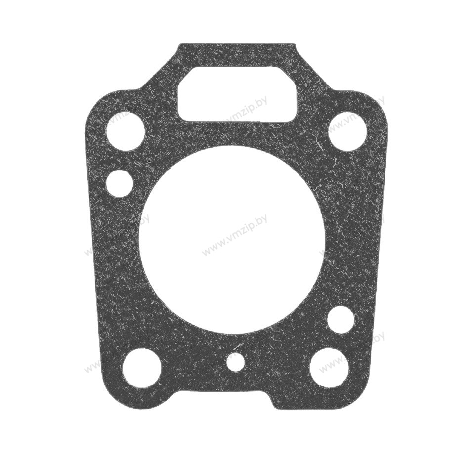 Прокладка корпуса помпы 4-5, MFS4-MFS6 369-65018-1