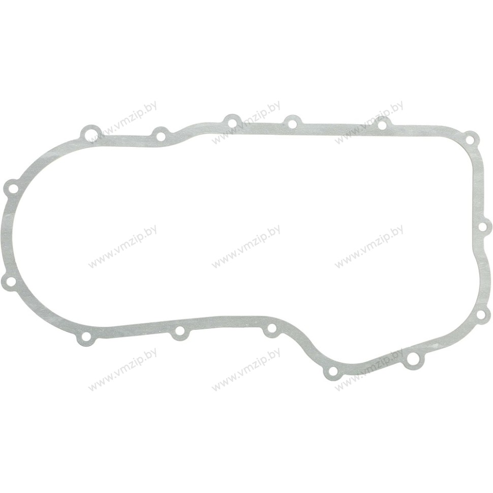 Прокладка корпуса цепи VK540 SM-03343