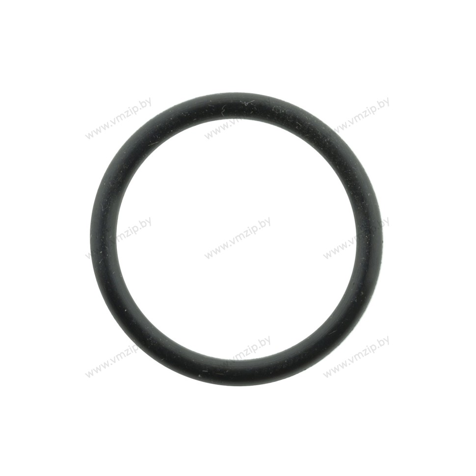 Кольцо резиновое RF10, RS10, VX10F