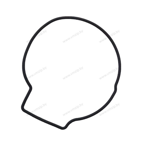 Уплотнение корпуса помпы Suzuki DF90-140 17416-92J00
