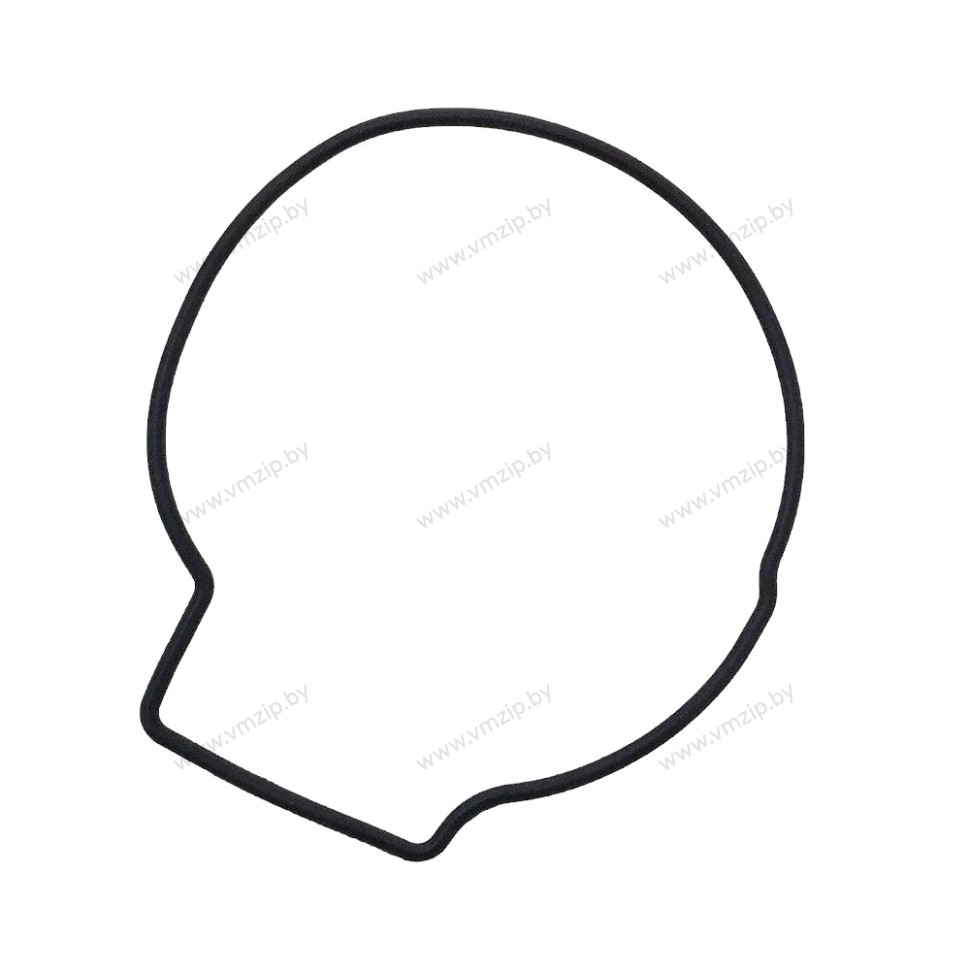 Уплотнение корпуса помпы Suzuki DF90-140 17416-92J00